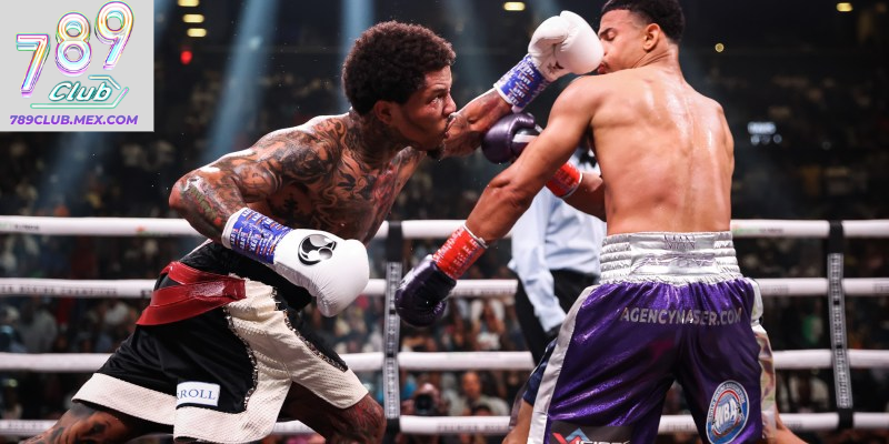 Kinh nghiệm chơi cá độ Quyền Anh thắng đậm